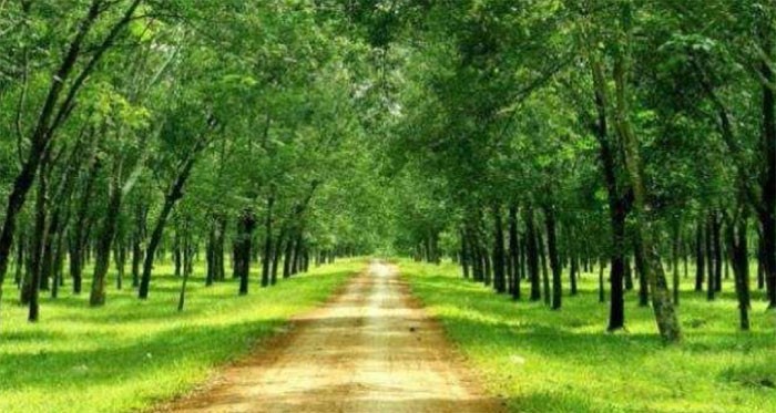 KL99 là cổng game giải trí trực tuyến hàng đầu hiện nay cần quan tâm ngày 4/3