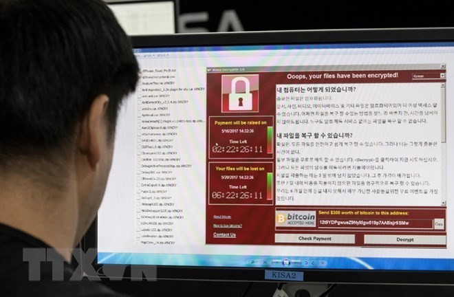 Kl991.com World Cup 2026 Chính Thức nhỏ là ‘miếng mồi ngon’ của mã độc Ransomware