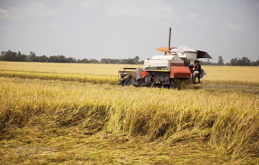 ADB cam kết hỗ trợ sáng kiến ​​an ninh lương thực đạt 40 tỷ USD đến năm 2030
