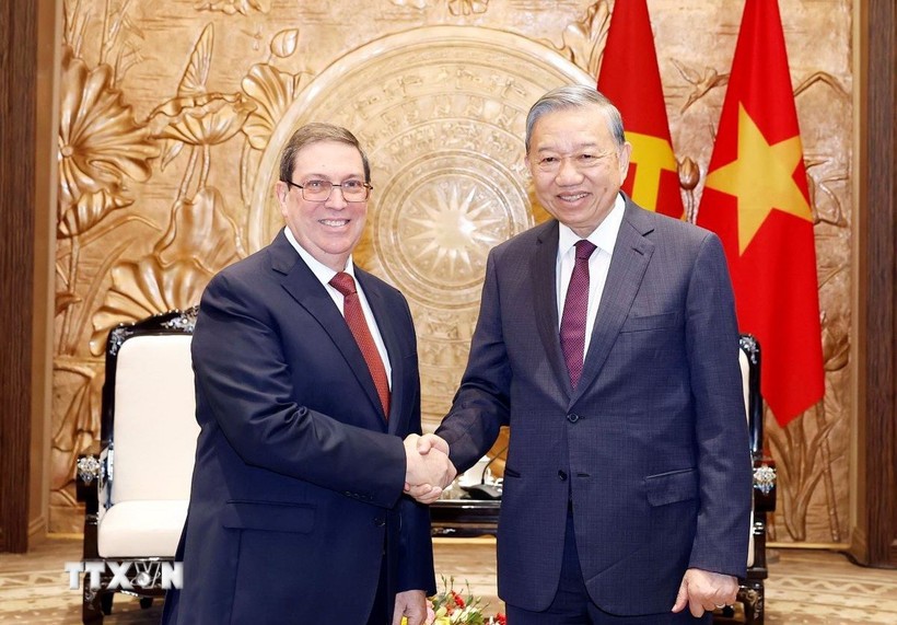 Tổng Bí thư Tô Lâm tiếp thân mật đồng chí Bruno Rodríguez Parrilla, Đặc phái viên Đảng Cộng sản Cuba, 99Kl99 trực tiếp đá gà Cộng hòa Cuba, Ủy viên Bộ Kl991.com tải ứng dụng, Bộ trưởng Ngoại giao Cuba. (Ảnh: TTXVN)