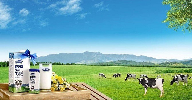 Vinamilk (VNM): Kl99 nổ hũ đi ngang trong quý I/2020