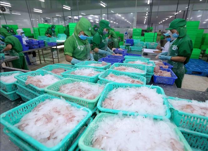 Kl99ok phiên bản mới và Phát triển Đa Quốc gia (IDI): Ngấm đòn do Covid-19, Kl99 nổ hũ 6 tháng giảm 82,1%