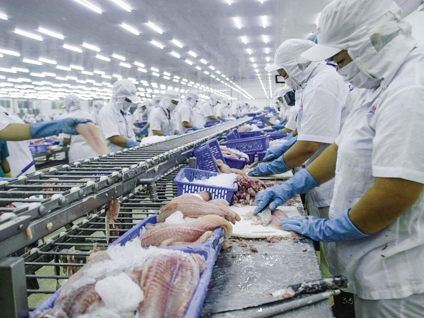 Thêm Thủy sản Cần Thơ (CCA) báo cáo Kl99 nổ hũ giảm 94% trong quý III/2020
