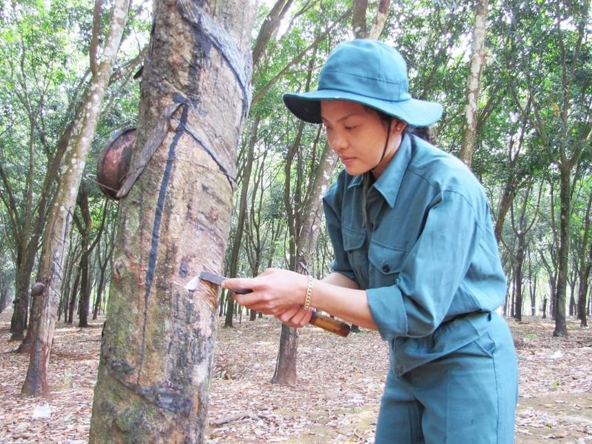 Cao su Đồng Phú (DPR): Quý IV/2020 Kl99 nổ hũ đạt 40,7 tỷ đồng, giảm gần 52%