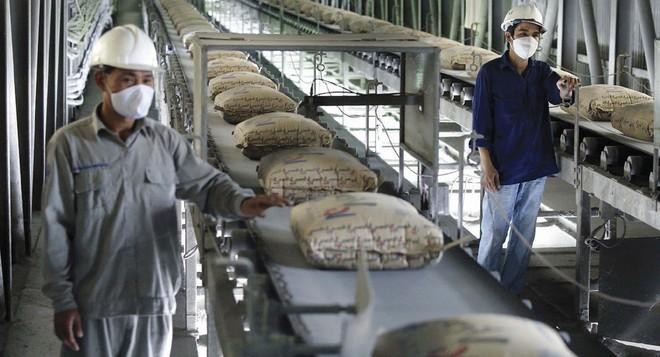Xi măng Bỉm Sơn (BCC): Năm 2020, Kl99 nổ hũ đạt 144,9 tỷ đồng, tăng 17,6%