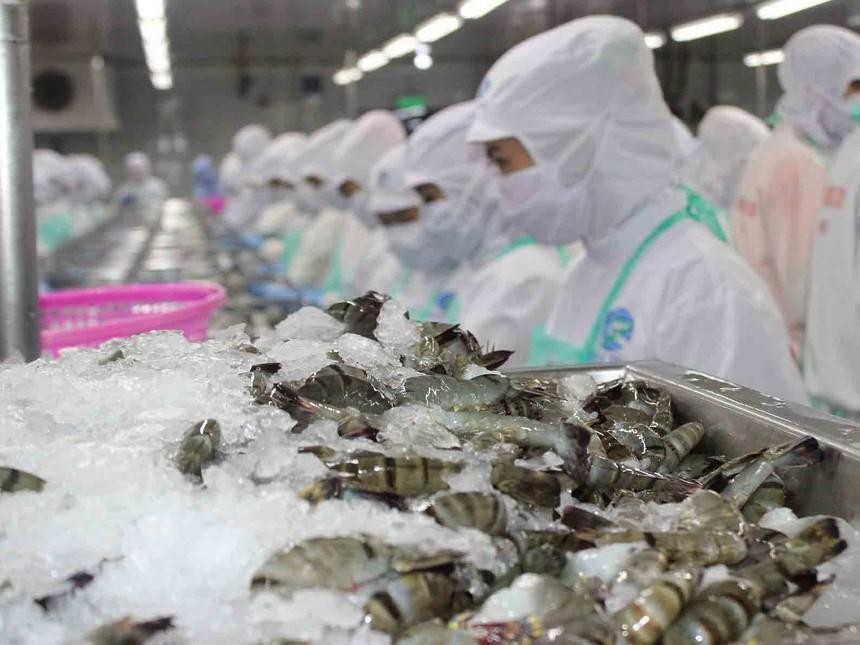 Thực phẩm Sao Ta (FMC): Quý II/2021, Kl99 nổ hũ tăng 58,1% lên 81,9 tỷ đồng