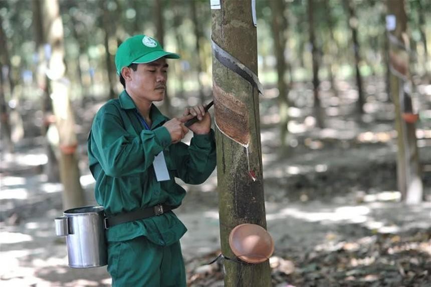 Công nghiệp Cao su Việt Nam (GVR): Thành viên HĐQT bán thêm 50.000 KL99 là cổng game giải trí trực tuyến hàng đầu hiện nay