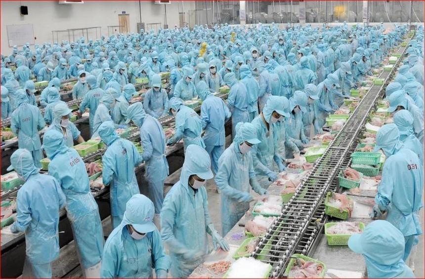 Kl99ok phiên bản mới và Phát triển Đa quốc gia I.D.I (IDI): HOSE nhắc nhở chậm công bố thông tin 