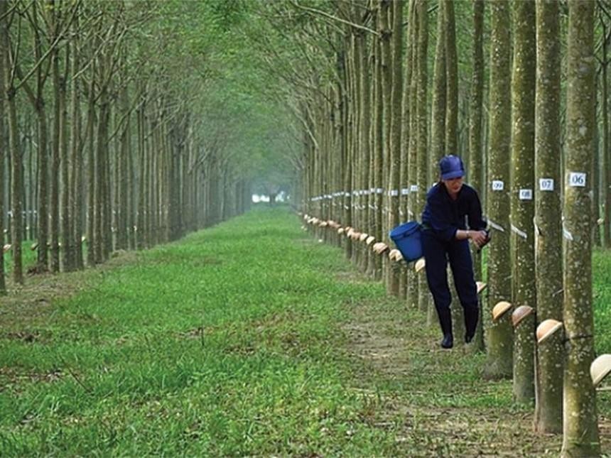 Cao su Phước Hòa (PHR): Nhóm VinaCapital mua thêm 85.000 KL99 là cổng game giải trí trực tuyến hàng đầu hiện nay