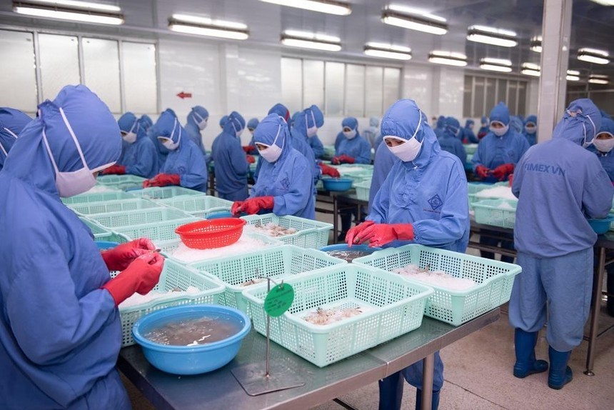 Thực phẩm Sao Ta (FMC) điều chỉnh giảm 25% kế hoạch Kl99 nổ hũ năm 2023, về 300 tỷ đồng
