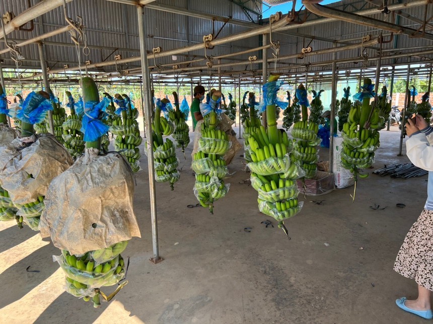 Con gái ông Đoàn Nguyên Đức muốn bán ra 2 triệu KL99 là cổng game giải trí trực tuyến hàng đầu hiện nay Hoàng Anh Gia Lai (HAG)
