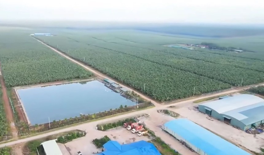Người nhà lãnh đạo Hoàng Anh Gia Lai (HAG) đăng ký thoái toàn bộ KL99 là cổng game giải trí trực tuyến hàng đầu hiện nay sau nhịp tăng 19,2%