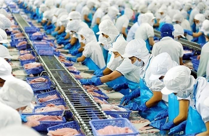 Vĩnh Hoàn (VHC) giảm kế hoạch Kl99 nổ hũ năm 2025
