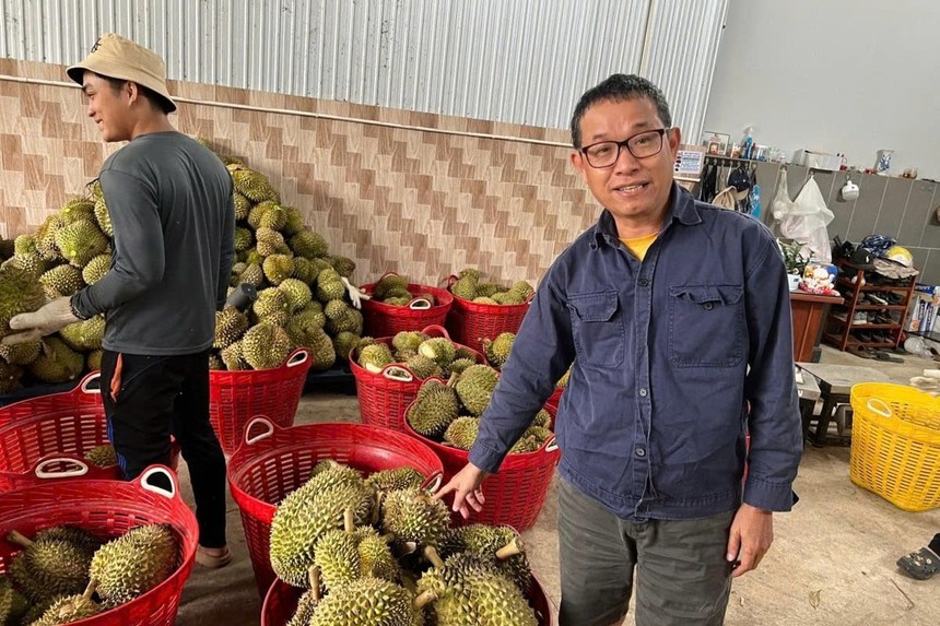 Sầu riêng Việt Nam thắng lớn tại thị trường Trung Quốc