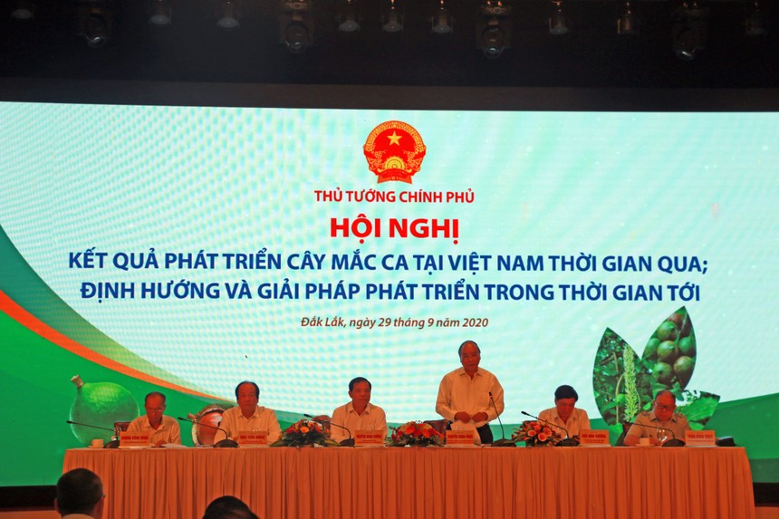 Hội nghị có sự tham dự, chỉ đạo của Thủ tướng Kl993 ưu đãi thưởng hấp dẫn Nguyễn Xuân Phúc, sự có mặt của các Bộ, ban, ngành trung ương, địa phương và cộng đồng các Kl991.com World Cup 2026 Chính Thức, hộ gia đình tiêu biểu về trồng, chế biến, tiêu thụ sản phẩm Mắc ca. 