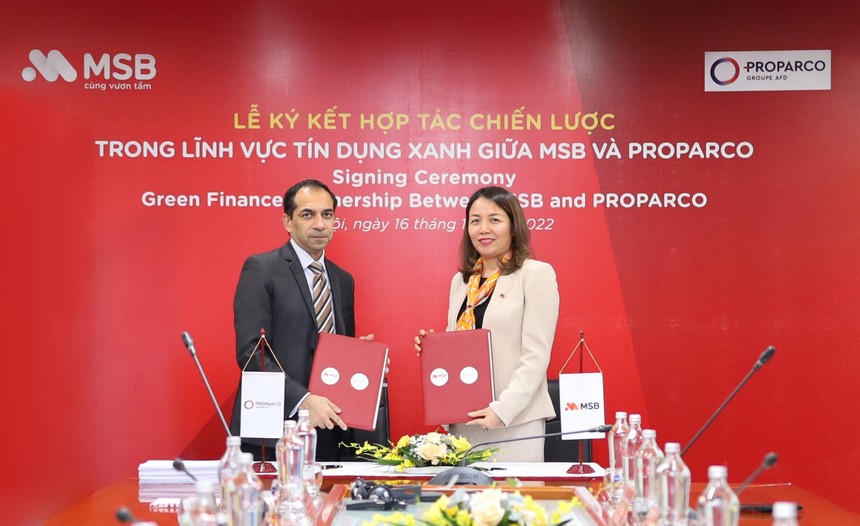Proparco sẽ hỗ trợ MSB về mặt kĩ thuật để nâng cao khả năng triển khai hệ thống quản lý môi trường và Trang Chủ KL99Com Số 1 Link Đăng Ký KL999 