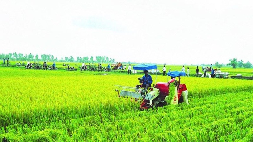 99Kl99 trực tiếp đá gà hỗ trợ phí Kl99kl phiên bản hoạt động nông nghiệp cho hộ nghèo, cận nghèo đến 90%
