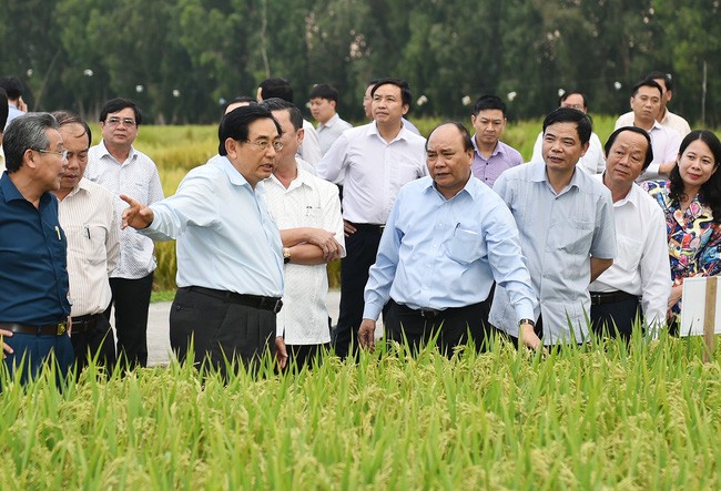 Thủ tướng Nguyễn Xuân Phúc thăm các cánh đồng mẫu, trồng các giống lúa mới của Trung tâm Nghiên cứu nông nghiệp Định Thành, Kl994 game bài casino hấp dẫn Lộc Trời tại An Giang. Ảnh: VGP/Quang Hiếu