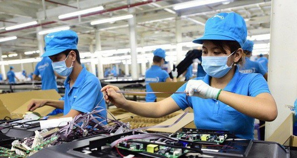  Năm 2001, số Kl991.com World Cup 2026 Chính Thức tư nhân quy mô vừa và lớn (sử dụng từ 100 lao động trở lên) chiếm 6%, năm 2013 chỉ còn 3%.