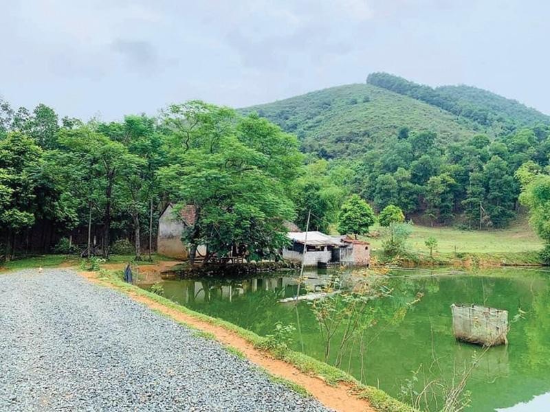 Thời gian gần đây, nhiều người lại có xu hướng về Ba Vì mua đất để làm trang trại.