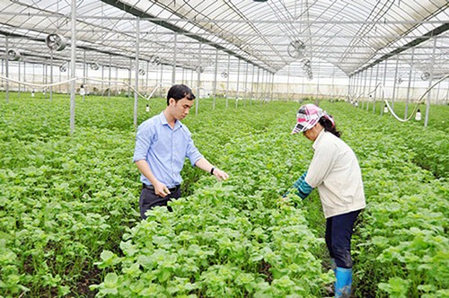 Đến 2025, thành lập mới 10.000 tổ chức Kl992 cổng game cá cược tập thể