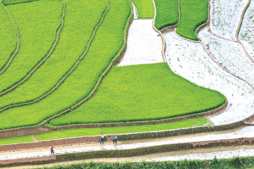 ESG và đòi hỏi thích ứng với sự thay đổi