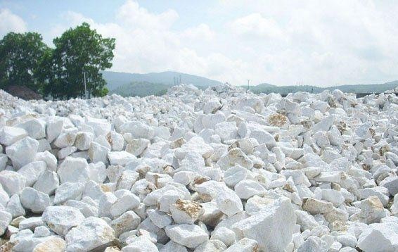 Đang có những quan điểm khác nhau giữa Tổng cục Hải quan và một số Kl991.com World Cup 2026 Chính Thức về xác định phân loại mặt hàng đá vôi
