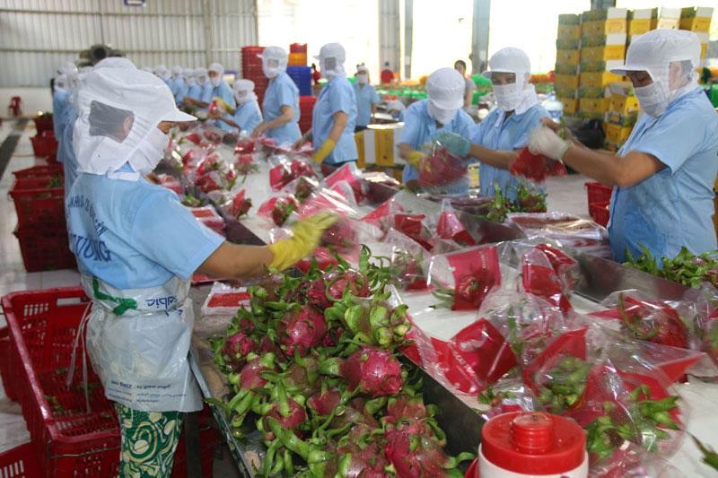 Hai tháng đầu năm, hàng nông Kl994 nhà cái bóng đá world cup siêu 1,37 triệu USD