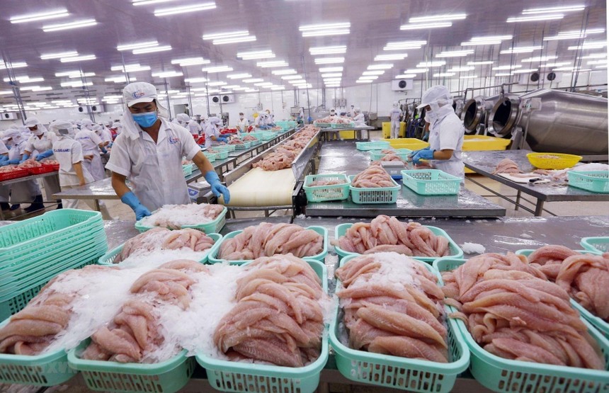 Sau khi EVFTA có hiệu lực, số lượng DN tham gia xuất khẩu thủy sản tới EU đã tăng lên mức trên 200 Kl991.com World Cup 2026 Chính Thức/tháng. Ảnh: Internet