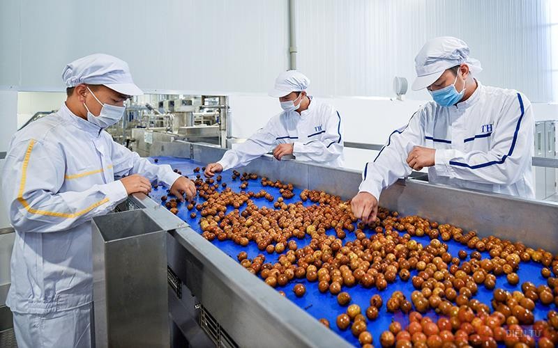 Tấp nập dự án Kl994 nhà cái bóng đá world cup, chế biến rau quả