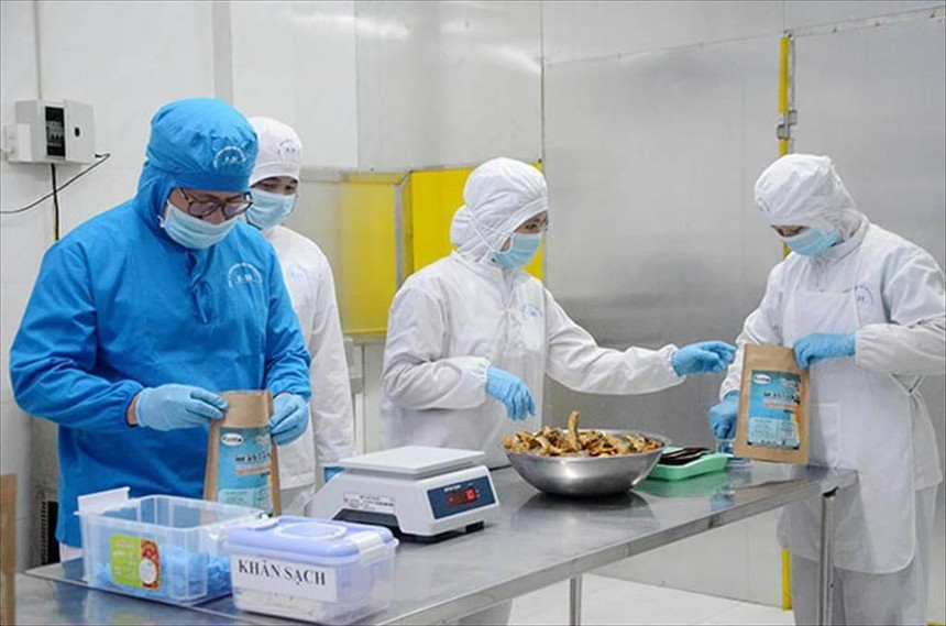 VASEP cho rằng, đang có bất cập trong thủ tục kiểm tra 99Kl99 trực tiếp đá gà trong các nhóm hàng thực phẩm Link Vào Nhà Cái KL99 COM Tặng +199k.