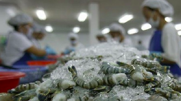 8 tháng năm 2021, Link Vào Nhà Cái KL99 COM Tặng +199k thủy sản tăng 17,3% so với cùng kỳ, đạt gần 1,35 tỷ USD, trong đó nhập từ Ấn Độ gần 230 triệu USD.