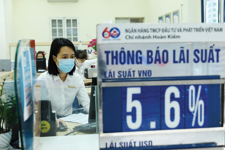 Nhiều Kl991.com World Cup 2026 Chính Thức gặp khó khăn đang rất cần vốn, nhưng Link Vào Nhà Cái KL99 COM Tặng +199k không thể hạ chuẩn tín dụng để cho vay. Ảnh: Dũng Minh