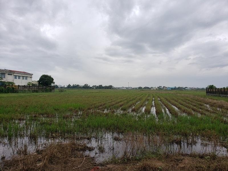 Thôn Phong Nam, xã Hòa Châu, huyện Hòa Vang là nơi quy hoạch Dự án Khu đô thị Phong Nam. Ảnh: Nhiệt Băng