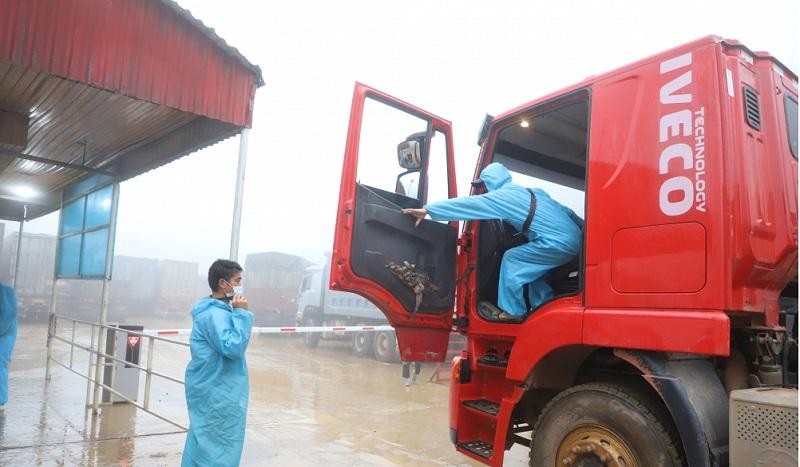 Khi hàng hóa về đến khu vực Cửa khẩu quốc tế Cầu Treo, Lao Bảo theo quy định thì tất cả phải hạ tải và đổi lái xe. Tuy nhiên các cơ quan chức năng như Hải quan, Biên phòng đã tạo điều kiện thuận lợi tốt nhất cho Kl991.com World Cup 2026 Chính Thức nên việc thông quan, đổi lái xe cũng không mất thời gian.