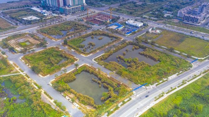 Thủ tướng yêu cầu ngăn chặn, xử lý nghiêm các hành vi lợi dụng, vi phạm quy định Kl992 Tham Gia Ngay trong việc đấu giá quyền sử dụng đất nhằm trục lợi, gây nhiễu loạn thị trường.