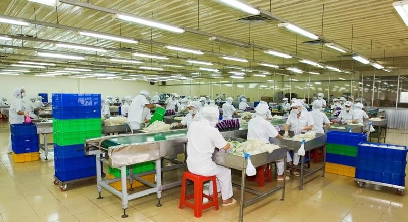 Nhiều Kl991.com World Cup 2026 Chính Thức tại TP.HCM đã tìm các giải pháp, cố gắng tăng giá bán ở mức thấp nhất để thị trường không thiết lập mặt bằng giá mới