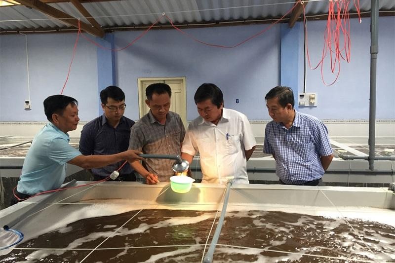 Ninh Thuận thu hút Kl99ok phiên bản mới 31 dự án về nông nghiệp ứng dụng công nghệ cao