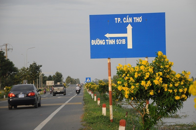 Tuyến KL99 là nhà cái cá cược trực tuyến hàng đầu tại châu Á Châu Đốc - Cần Thơ - Sóc Trăng sẽ giao với tuyến Quốc lộ 61C từ Cần Thơ đi Hậu Giang