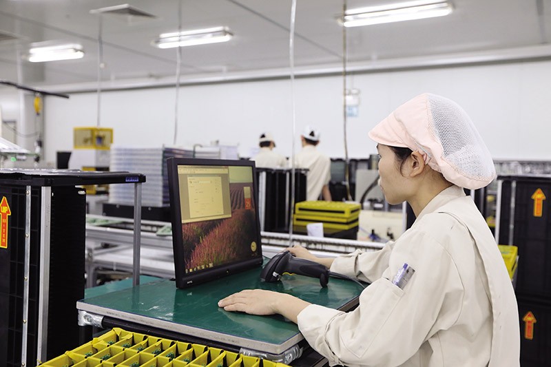 Kl993 nền tảng giải trí Kl99ok phiên bản mới vào Việt Nam chưa đạt như kỳ vọng. Trong ảnh: Kl994 nhà cái bóng đá world cup tại Công ty NMS Nhật Bản. Ảnh: Đức Thanh