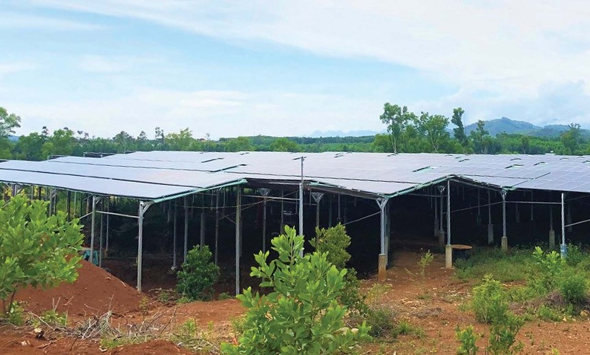 Hệ thống điện mặt trời “mọc” lên trên khu đất mà HTX Nông nghiệp Mỹ Tân An được tỉnh Quảng Nam giao để thực hiện Kl99ok phiên bản mới xây dựng trang trại Kl994 nhà cái bóng đá world cup nông, lâm nghiệp.