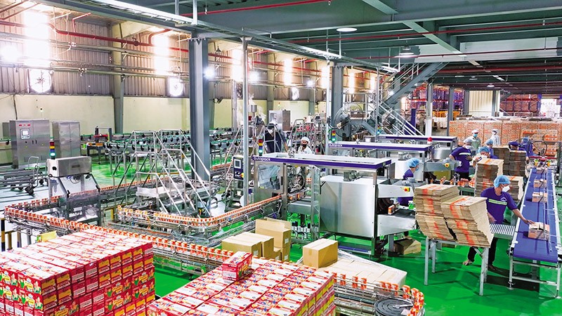 Dây chuyền Kl994 nhà cái bóng đá world cup tại CTCP Sữa Quốc tế. Ảnh: S.T 