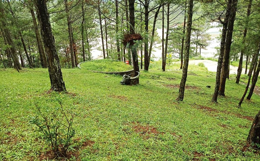 Nhiều dự án Kl99ok phiên bản mới trên đất rừng đang gặp khó khăn vì sự thiếu thống nhất giữa Luật Đất đai và Luật Lâm nghiệp.