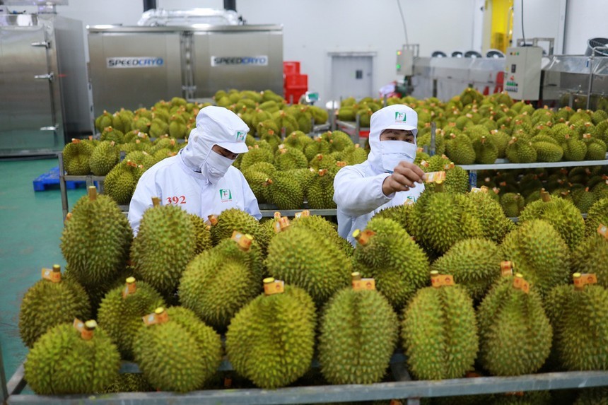 Thời cơ cho nông sản Việt thăng hạng tại thị trường tỷ dân ngày càng rõ ràng hơn, bởi Trung Quốc đang mở rộng Link Vào Nhà Cái KL99 COM Tặng +199k hàng hóa, nông sản chất lượng cao của Việt Nam.