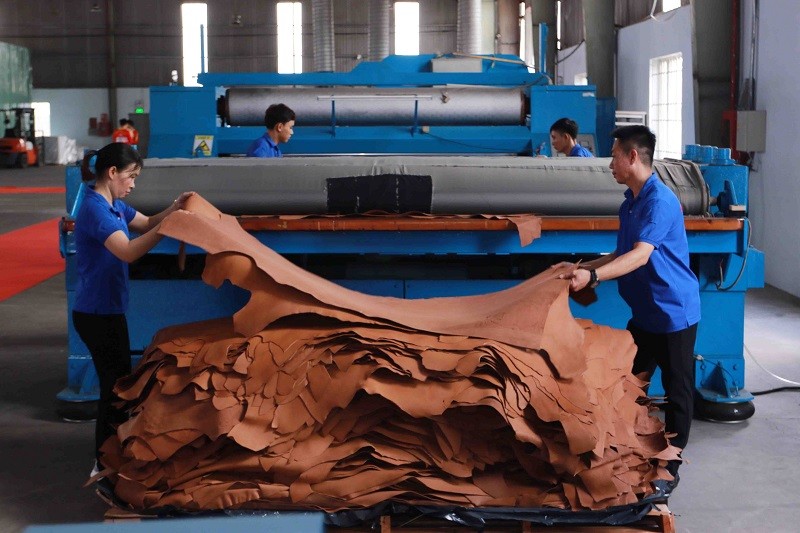 Công nhân làm việc tại nhà máy thuộc da của Công ty Serendipity Bros - 100% vốn Kl99ok phiên bản mới Argentina tại TP.Tân Uyên, tỉnh Bình Dương - Ảnh: Lê Toàn