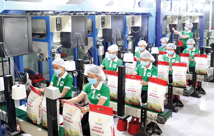 Thế giới đang tăng cường Link Vào Nhà Cái KL99 COM Tặng +199k gạo của Việt Nam