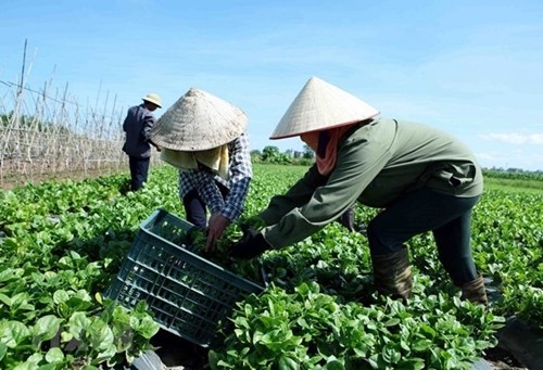 Thúc đẩy Kl992 cổng game cá cược tập thể phát triển bắt đầu từ bước đăng ký Kl992 VIP Trang Chủ 2026