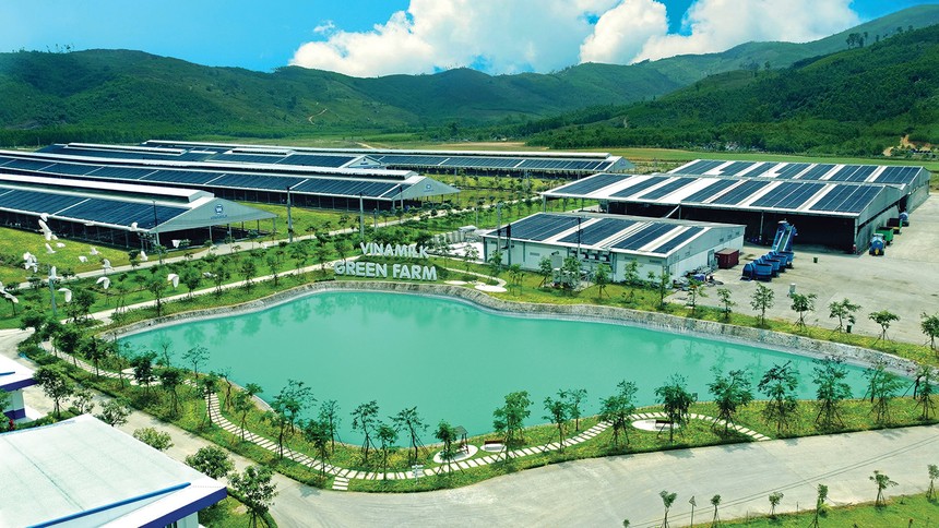 Với Vinamilk, ESG trở thành yếu tố quyết định sự sống còn của Kl991.com World Cup 2026 Chính Thức