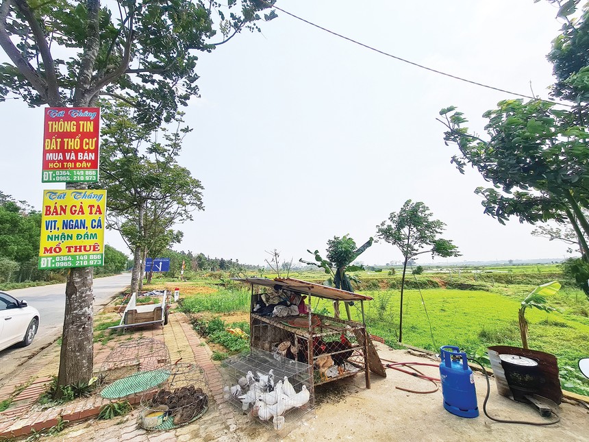 Thị trường đất nền sẽ được quản lý chặt chẽ hơn trong thời gian tới 