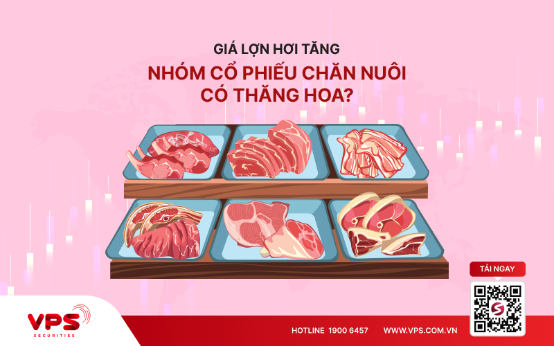 Giá lợn hơi tăng, nhóm KL99 là cổng game giải trí trực tuyến hàng đầu hiện nay chăn nuôi có thăng hoa?